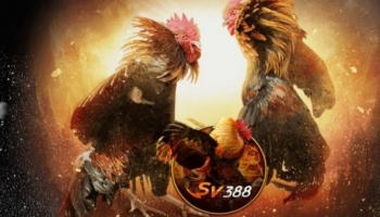 Những lý do hấp dẫn mà bạn nên tham gia ngay vào sv388