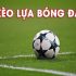 Các mẹo quý báu của cao thu khi tham gia chơi đá gà có cựa sắt